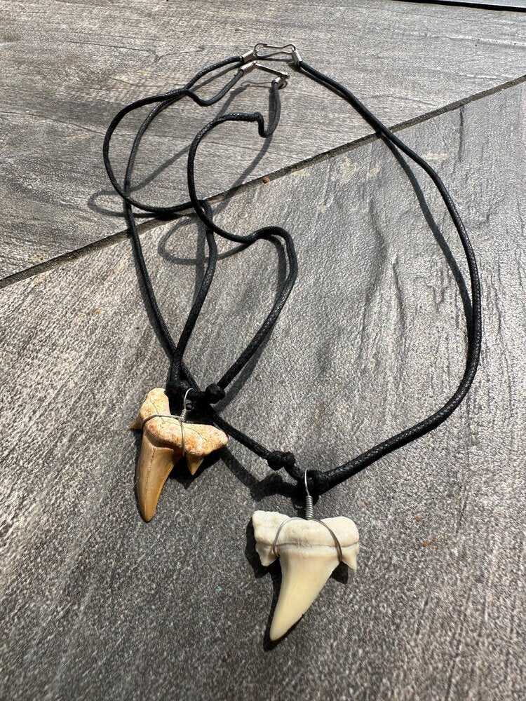 20 Collares Diente de Tiburon (Fósiles), 2 cm