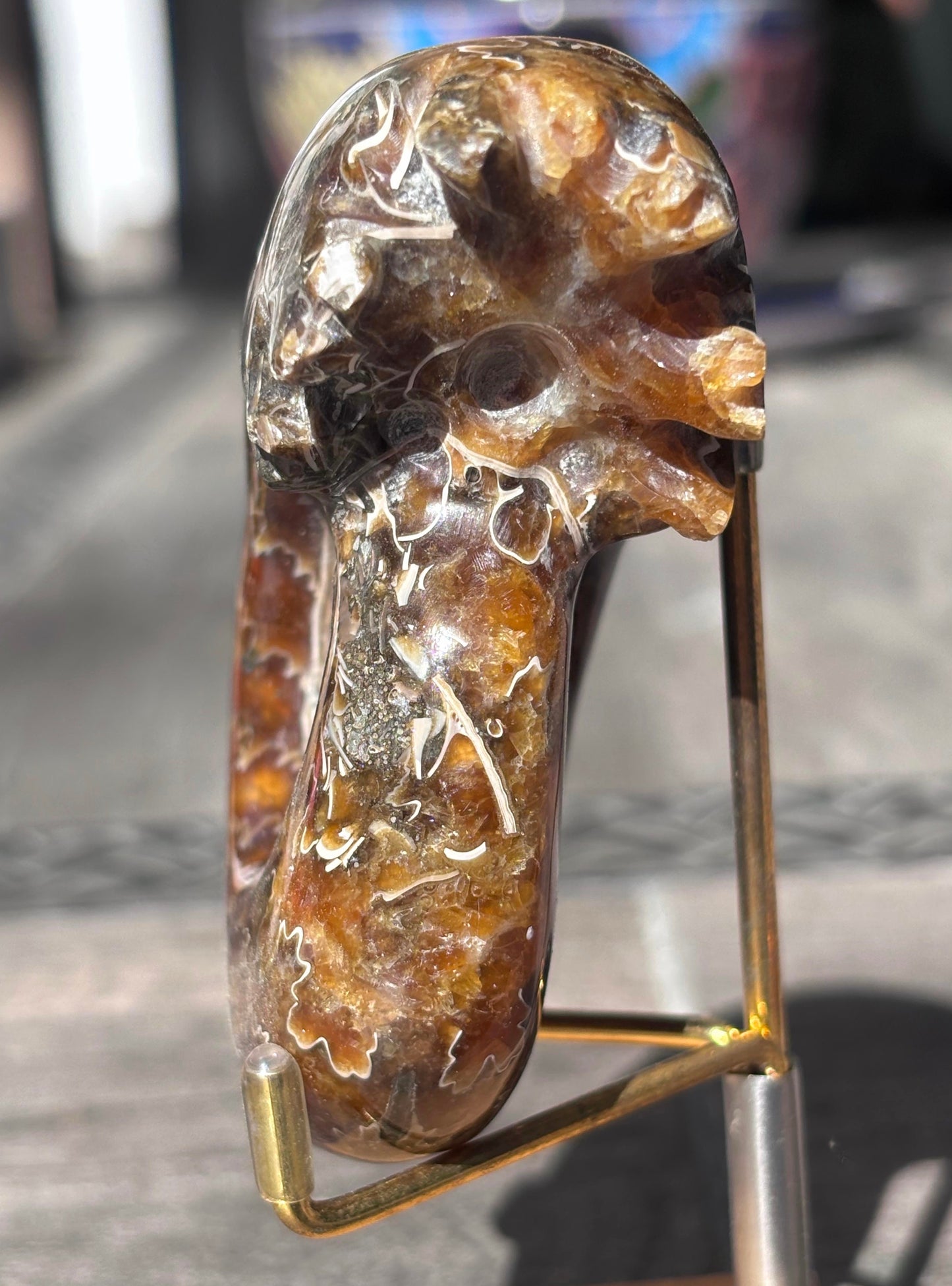 Amonite Cleoniceras Pulido, 8x7 cm #Hh49
