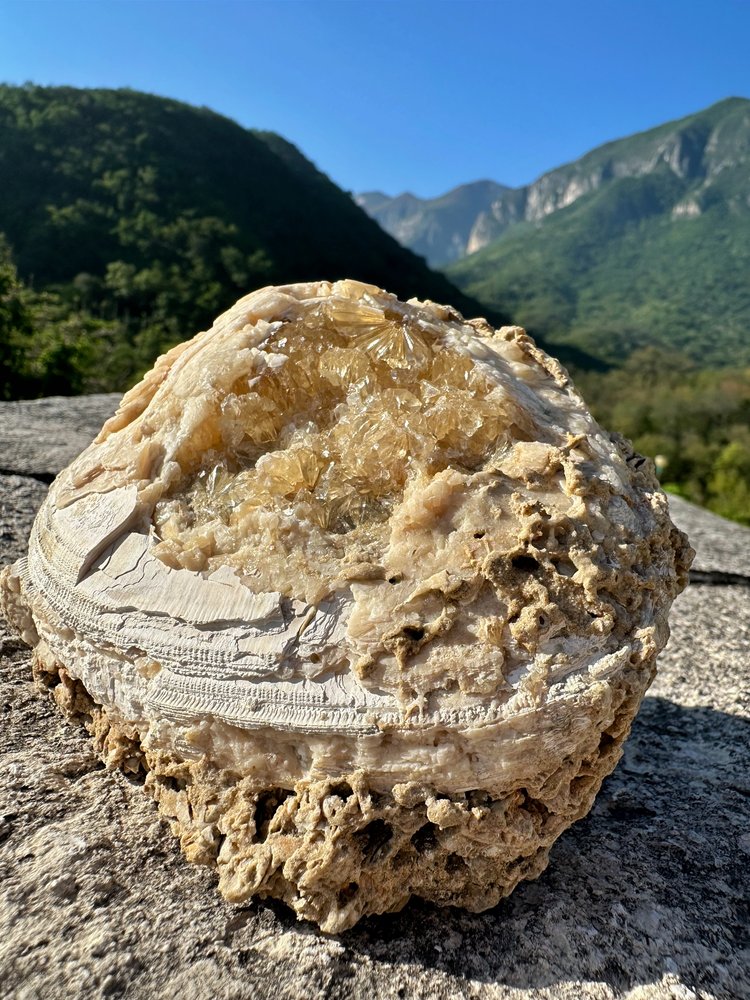 Almeja Fósil con Cristales de Calcita