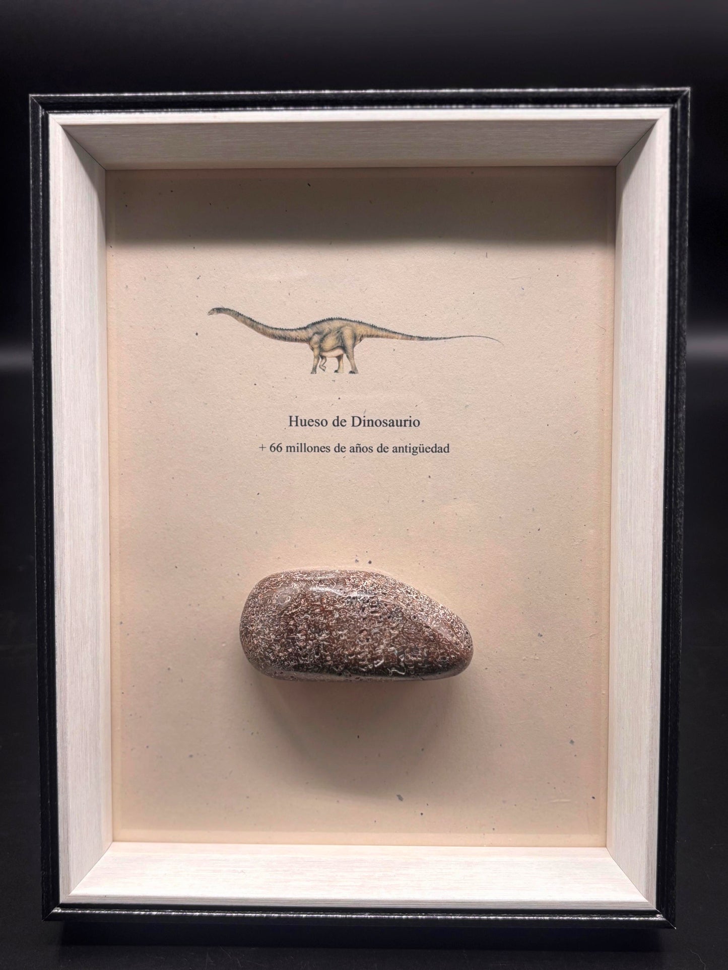 Hueso de Dinosaurio