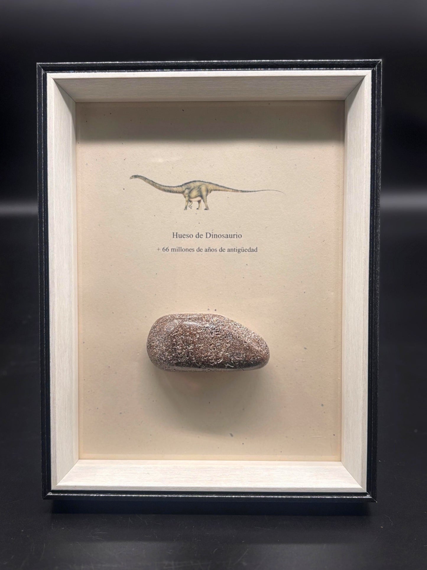 Hueso de Dinosaurio