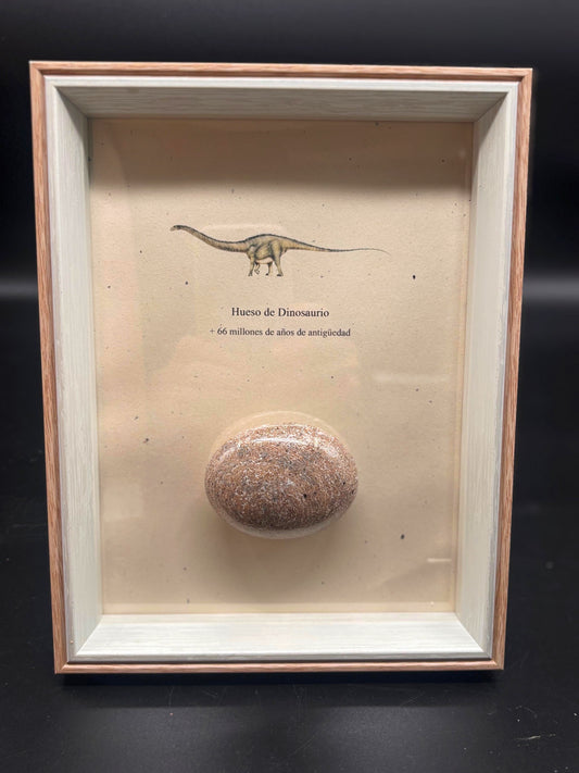 Hueso de Dinosaurio