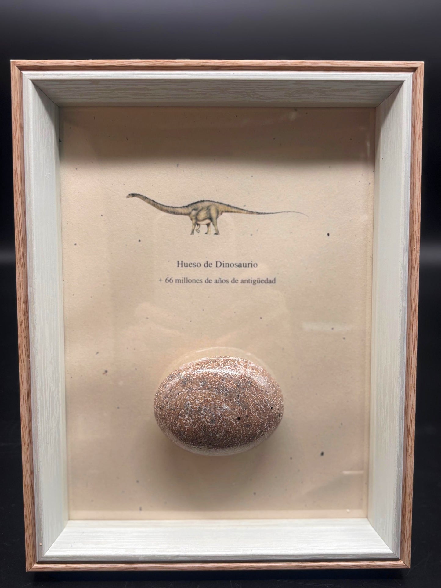 Hueso de Dinosaurio